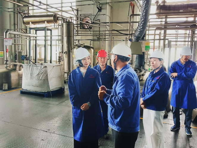 乌鲁木齐市科技局局长马丽娜一行来公司调研